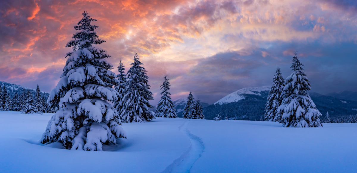 winter landscape