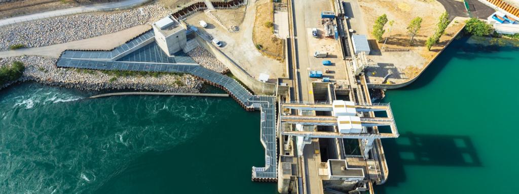 Fish pass on Sauveterre dam, France (c)Juan Robert